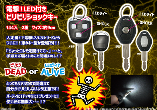 dLEDtq゙q゙VbNL[.jpg